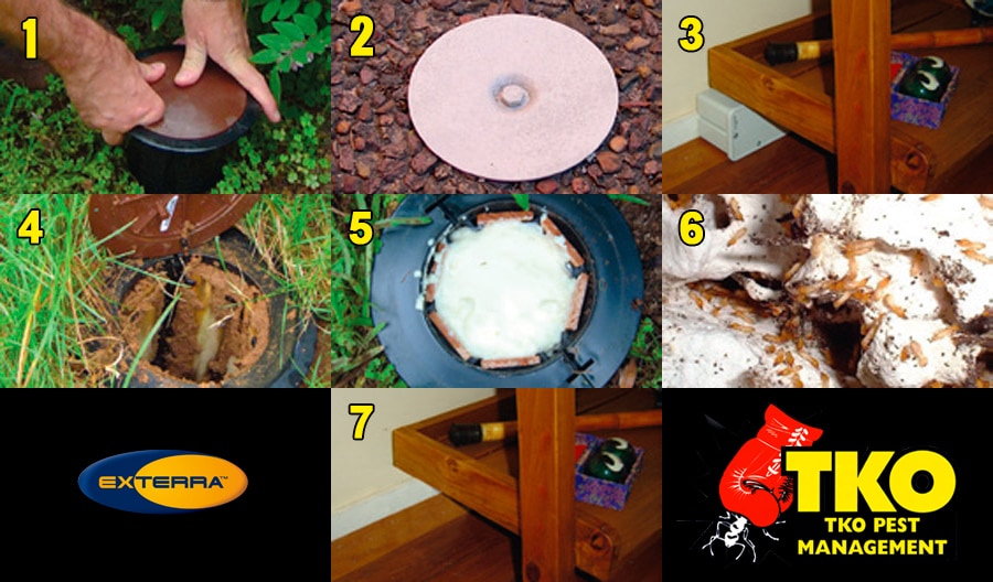 A seven-step photo gallery showing the simple process associated with the installation and ongoing management of Exterra Termite Systems