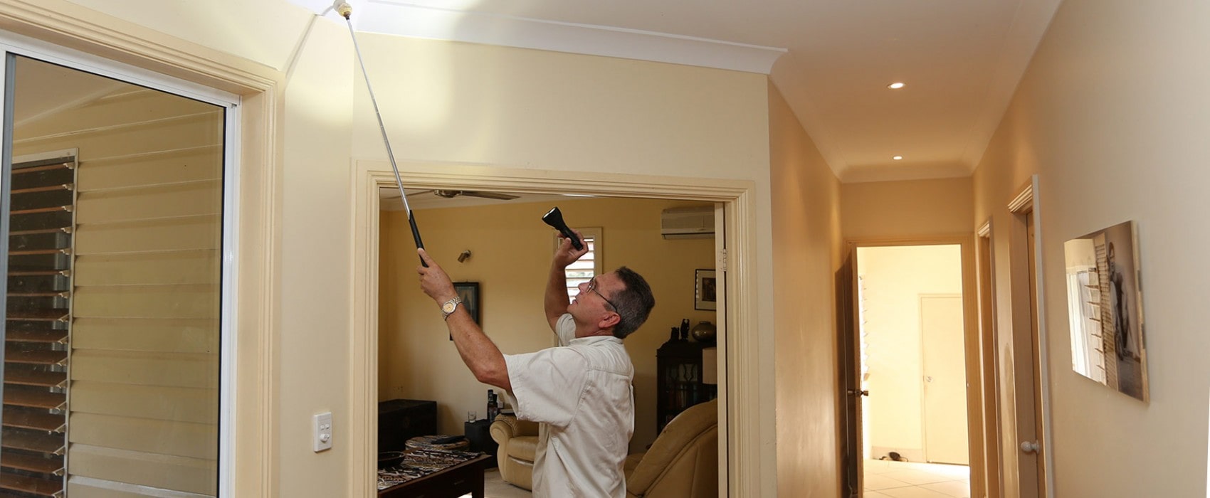 TKOPestManagementPestControlCairnsTermiteTreatmentVerminRemovalCockroachSpidersBugs